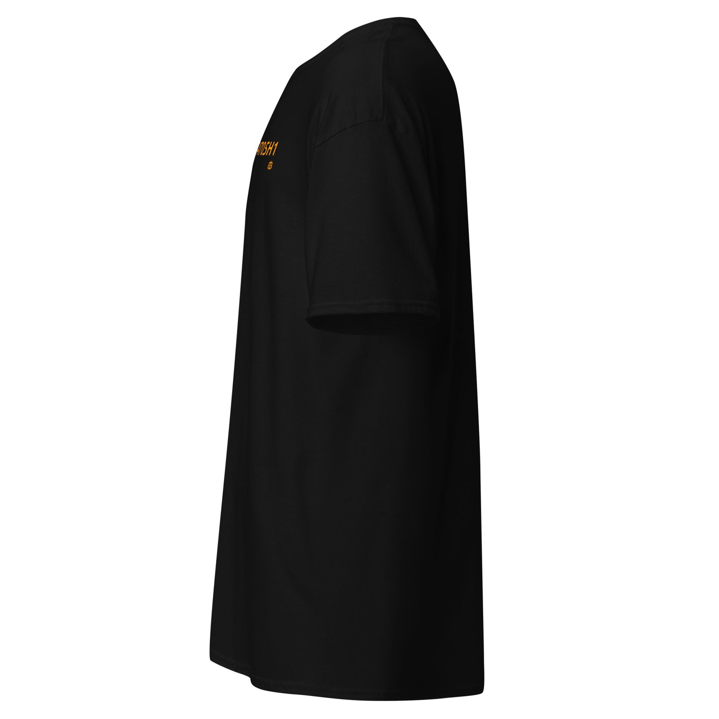 Klassisches Herren-T-Shirt „54705H1_sm“