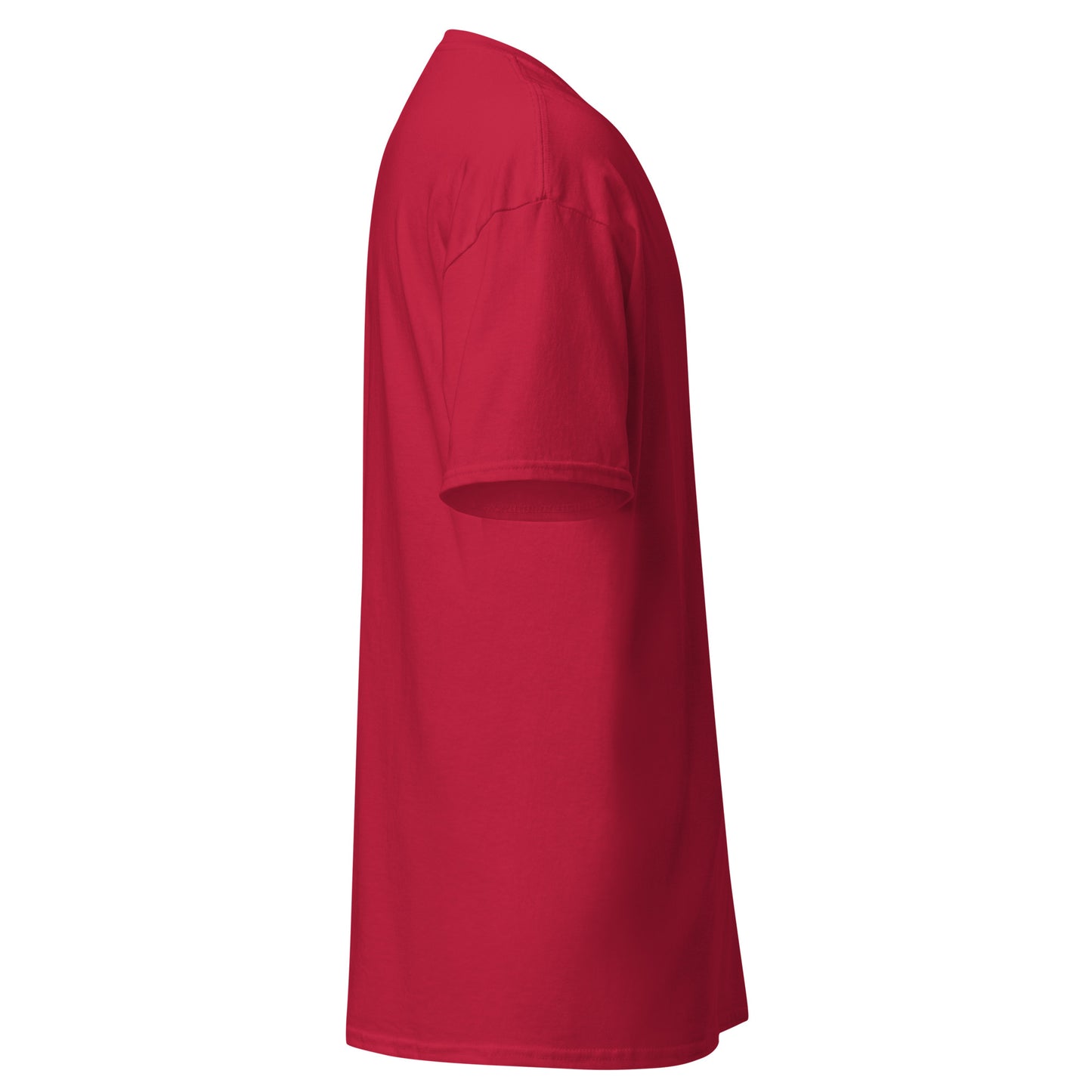 Klassisches Herren-T-Shirt „54705H1_sm“