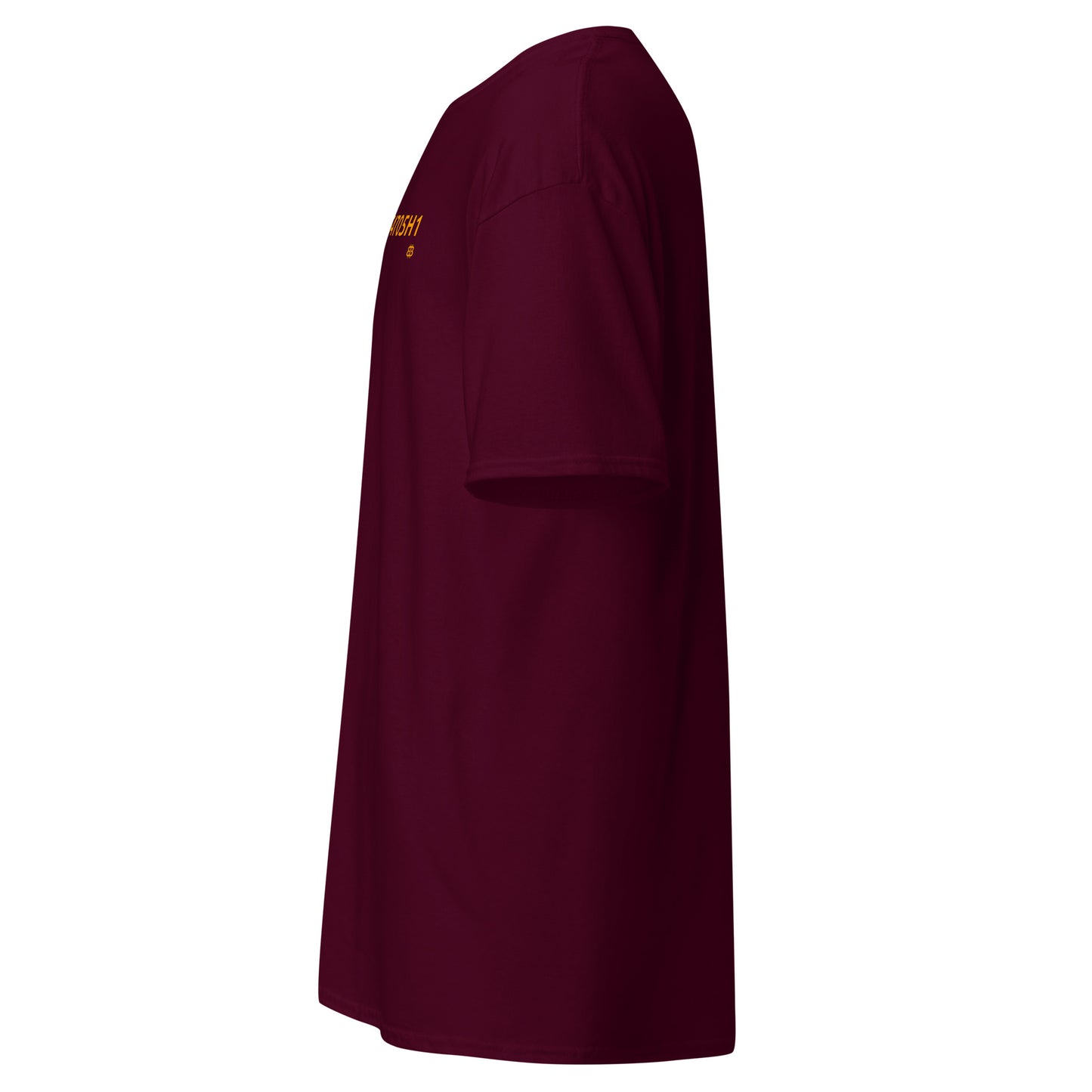 Klassisches Herren-T-Shirt „54705H1_sm“